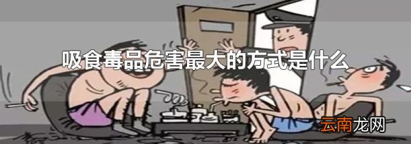 吸食毒品危害最大的方式是什么