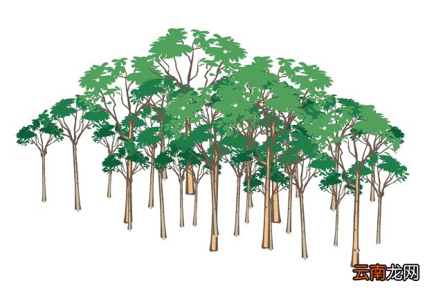 ai绘制一片森林画的操作步骤