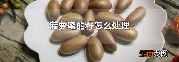 菠萝蜜的籽怎么处理