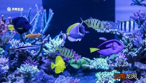 青岛海底隧道在海底多深 青岛海底隧道多深