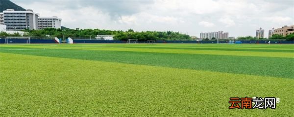 纽卡斯尔大学在哪个城市 纽卡斯尔大学在哪里