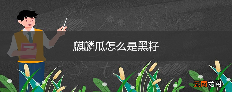 麒麟瓜怎么是黑籽
