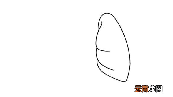 肺炎简笔画