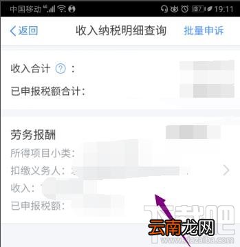 个人所得税2020年劳务报酬所得在哪查看？
