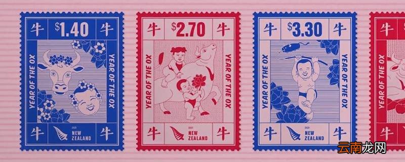 单套和四方联有什么区别