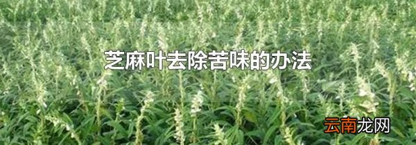 芝麻叶去除苦味的办法