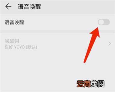 华为yoyo怎么开启