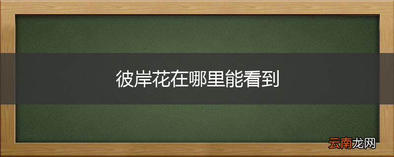 彼岸花在哪里能看到