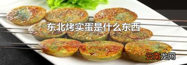 东北烤实蛋是什么东西