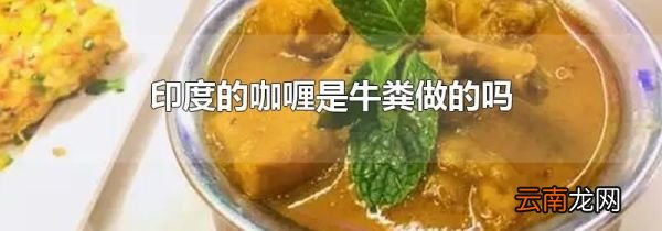 印度的咖喱是牛粪做的吗