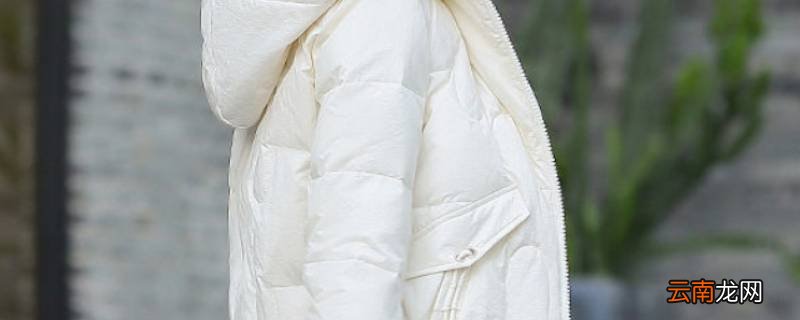 羽绒服放一年发黄了怎么洗