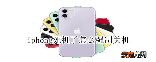 iphone死机了怎么强制关机