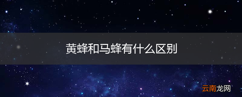 黄蜂和马蜂有什么区别