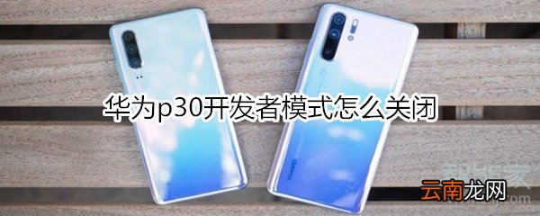 华为p30开发者模式怎么关闭
