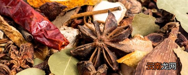 大料是什么 煮菜的大料是什么