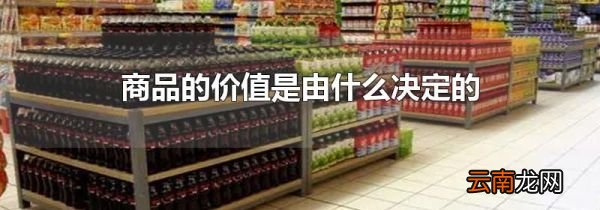 商品的价值是由什么决定的