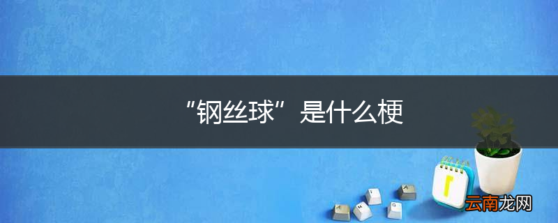 “钢丝球”是什么梗