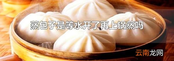 蒸包子是等水开了再上锅蒸吗
