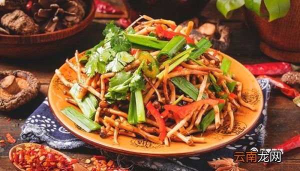鱼腥草的功效与作用