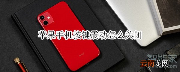 苹果手机按键震动怎么关闭