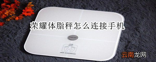 荣耀体脂秤怎么连接手机