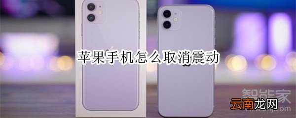 苹果手机怎么取消震动