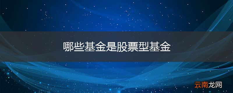哪些基金是股票型基金
