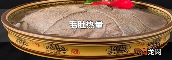 毛肚热量