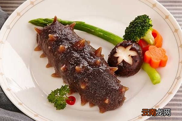 海生的功效与作用 海参的食用禁忌