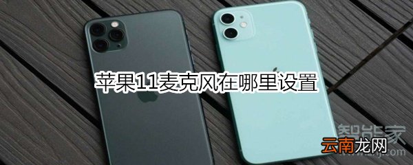 苹果11麦克风在哪里设置