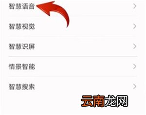 华为小艺怎么改名字