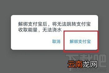 钉钉班级树如何解绑支付宝？钉钉班级树解绑支付宝图文教程