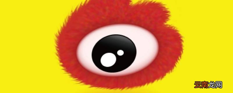 新浪博客停止服务以前的文怎么看