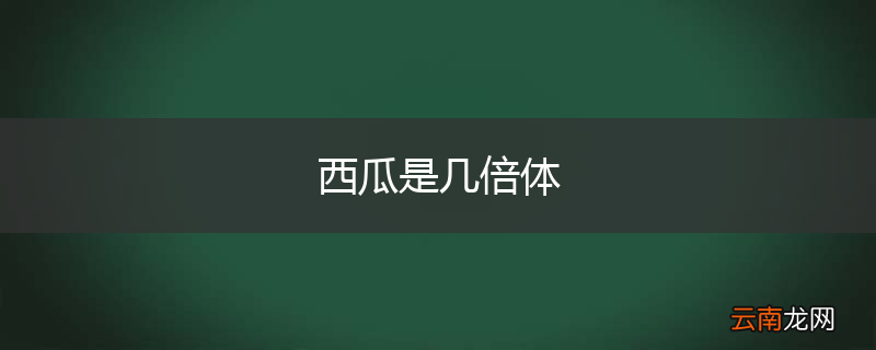 西瓜是几倍体