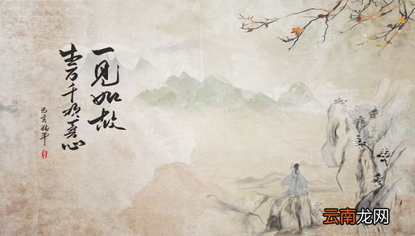 虽有嘉肴翻译 虽有嘉肴怎么翻译