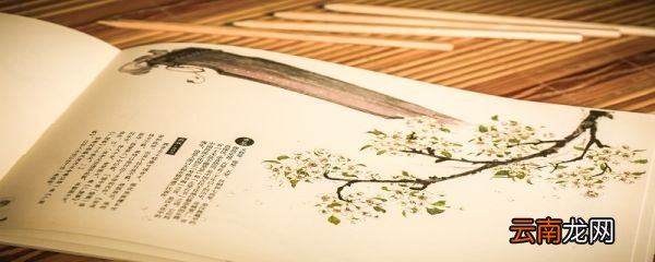 虽有嘉肴翻译 虽有嘉肴怎么翻译