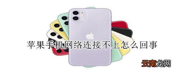 苹果手机网络连接不上怎么回事