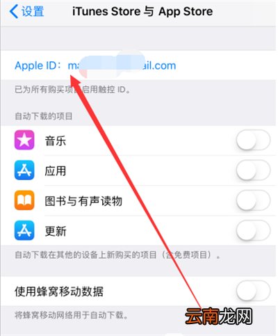 苹果ld怎么查