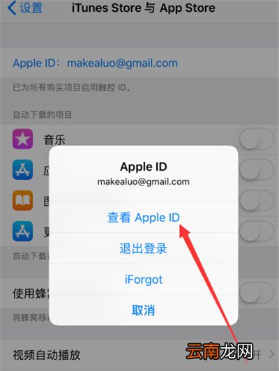 苹果ld怎么查