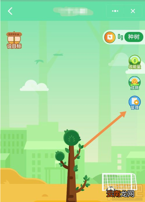 钉钉班级树怎么取消合种？取消钉钉班级树教程分享