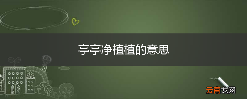 亭亭净植植的意思