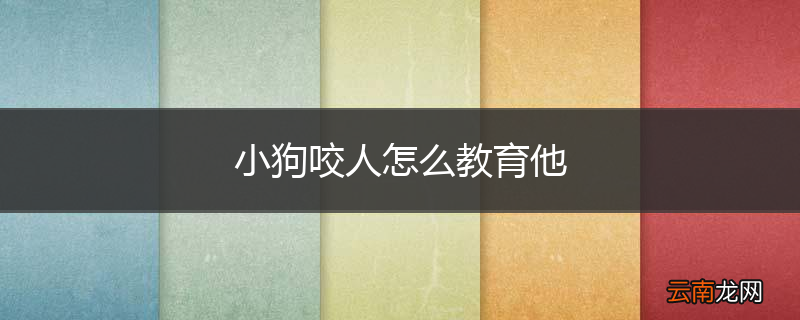 小狗咬人怎么教育他