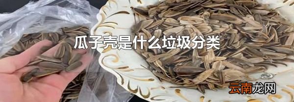 瓜子壳是什么垃圾分类