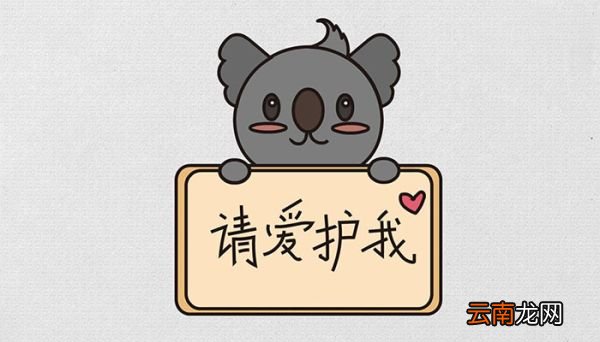保护野生动物的简笔画怎么画保护野生动物的简笔画的画法