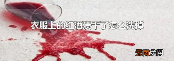 衣服上的红酒渍干了怎么洗掉