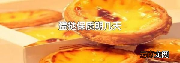 蛋挞保质期几天