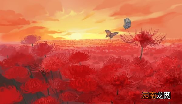 夏天有什么花 夏天有什么花开放
