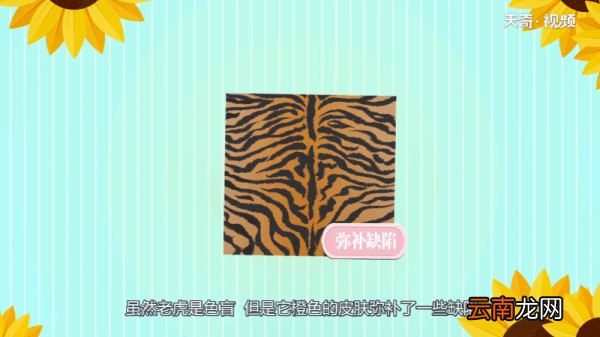 老虎是色盲吗 老虎是不是色盲