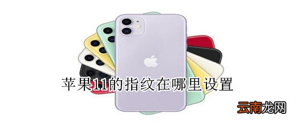 苹果11的指纹在哪里设置