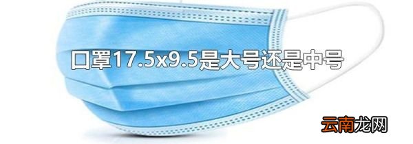 口罩17.5x9.5是大号还是中号
